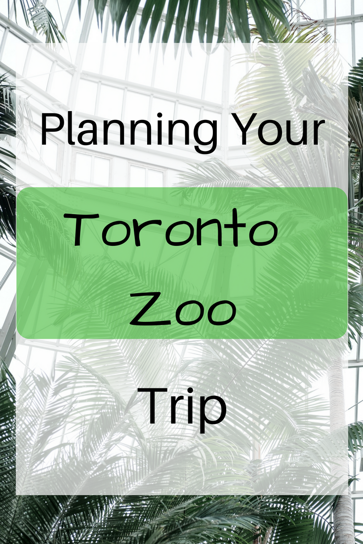 Zoo, Zoo Trip, Toronto Zoo, Zoo animals
